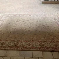 فرش|فرش|تهران, مختاری|دیوار