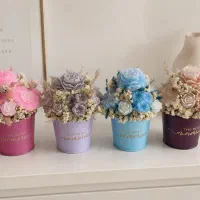 باکس گل