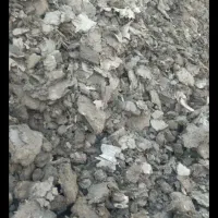 کود کفتر|گل و گیاه طبیعی|آباده, |دیوار