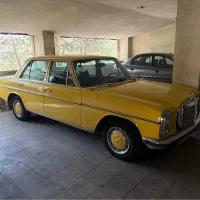 بنز معماری 73،سند تک برگ