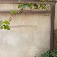 دار قالی