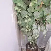 درخت مصنوعی تنه طبیعی