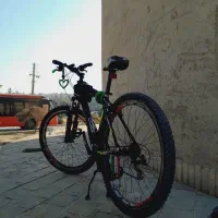 دوچرخه ویوا ۲۹ اصل تایوان