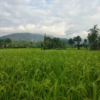 زمین-خوشه-یک-با-جواز-ساخت