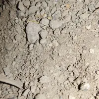نخاله خاک میخرم