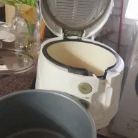 سرخ کن مارک چیپاس