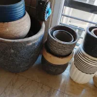 گلدان|گل و گیاه طبیعی|تهران, حکمت|دیوار