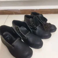کبوتر قناری کفش ایمنی مرغ عشق جوجه