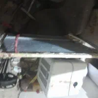 کفتر|پرنده|تربت جام, رضاآباد|دیوار