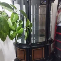 بوفه|بوفه، ویترین، کنسول|نوشین شهر, |دیوار