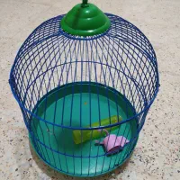 قفس پرنده