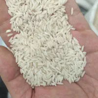 برنج سالم وسرلاشه دورود با عطر و طعم و کیفیت خوب