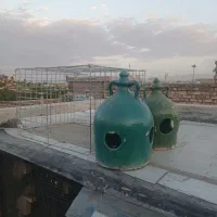 قفس و آب خوری