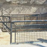 یک عدد باربند پیکان وانت