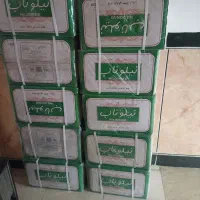 ۱۰ کارتن چایی هندی نیلوناب