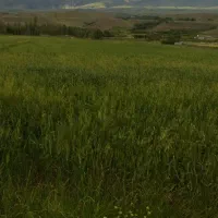 زمین-کشاورزی-در-جاده-اهر-به-مشکین-شهر