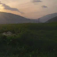 زمین