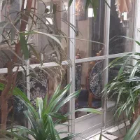 ملک ۲طبقه ۱۹۵متری .مسکن هجرانی