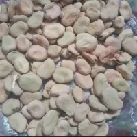 باقله خشک .. پزا  .. کشت امسال