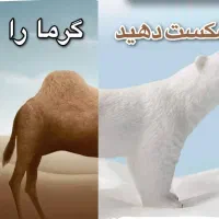 فروش کولرگازی سری جدید کولر گازی های داخلی/وارداتی