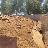کود گوسفندی درجه یک
