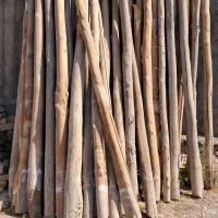 تیرچوبی