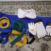 هوگو تکواندو