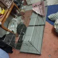 قفس خرگوش یا پرنده