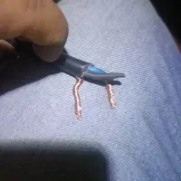کابل 6*2افشان
