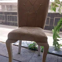 صندلی میزبان سالم. دو عدد