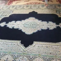 قالی ...۱۲ متری