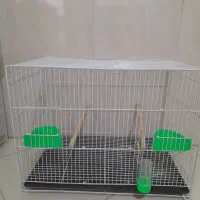 قفس