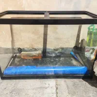 آکواریوم شرکتی