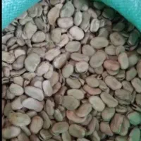 باقله شهری درجه ۱ پزا به شرط
