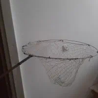 تور کفتر کبوتر