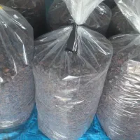 مویز