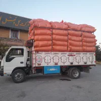 کاه گندم دیم نرم دجه یک، نوراباد