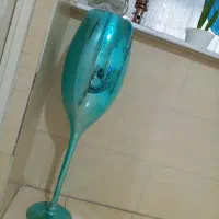 گلدون جام کنارسالنی