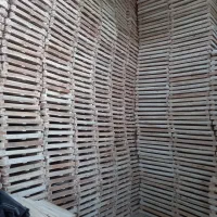 طباخ.طبخ انگور زردالو