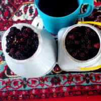 تمشک تازه فروشی