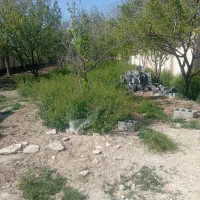 تیلر زنی باغ و علف زنی