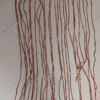 جدا کننده چوبی