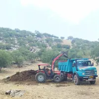 کودحیوانی گوسفندی بدون آشغال
