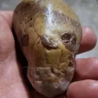 سنگ سلطانی  شکل جمجمه انسان