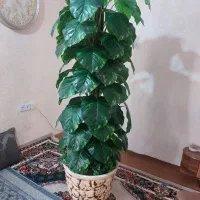درخت گل