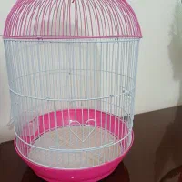 قفس