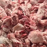 شهله گاوی زیر قیمت با بهترین کیفیت