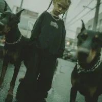 سگ نگهبان معاوضه