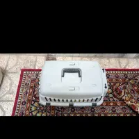 لوازم گربه