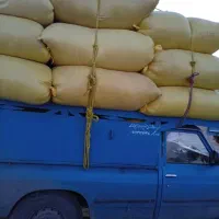 کاه گندم و جو و عدس
